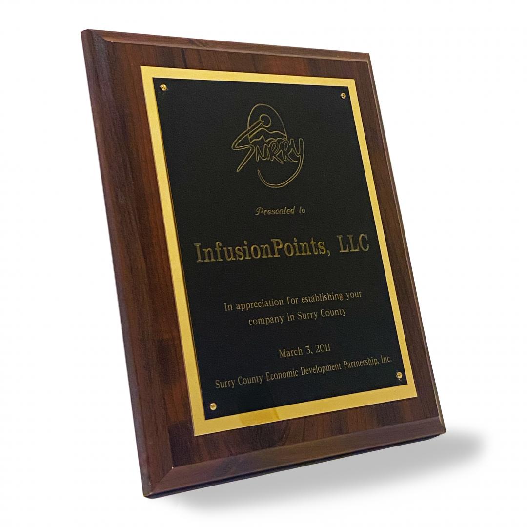 2011 Surry County Economic Development Partnership Inc.